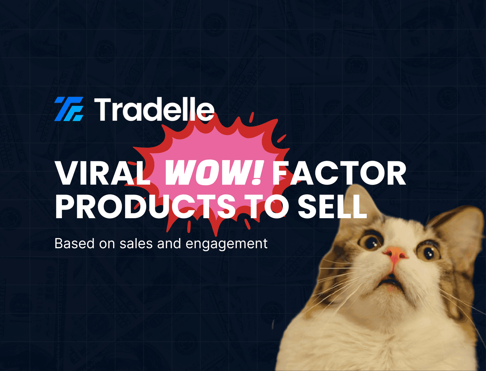 12 Dropshipping Products With WOW Factor
