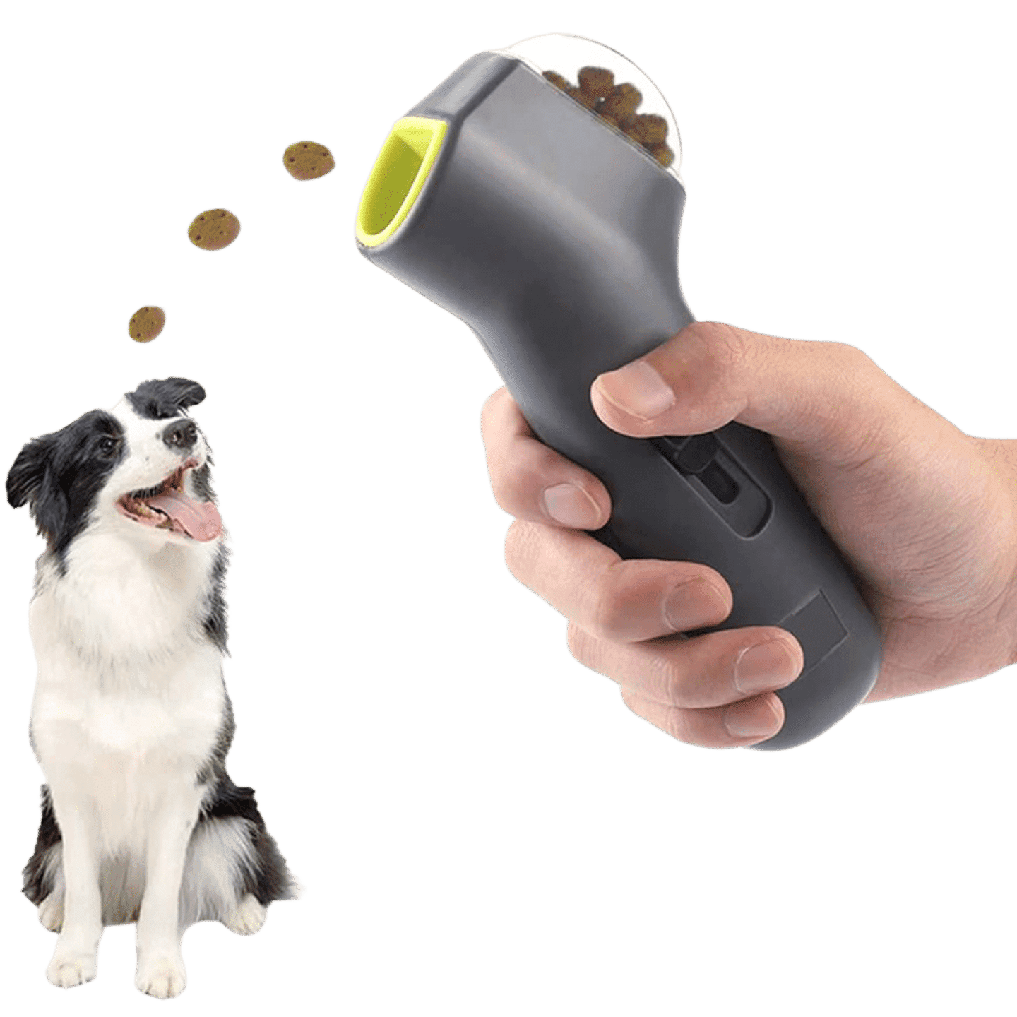Handheld Dog Treat Launcher