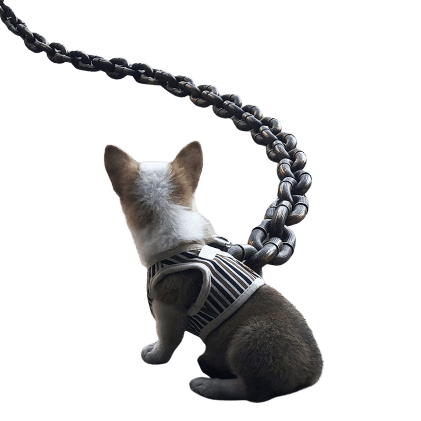Funny Dog Chain Leash