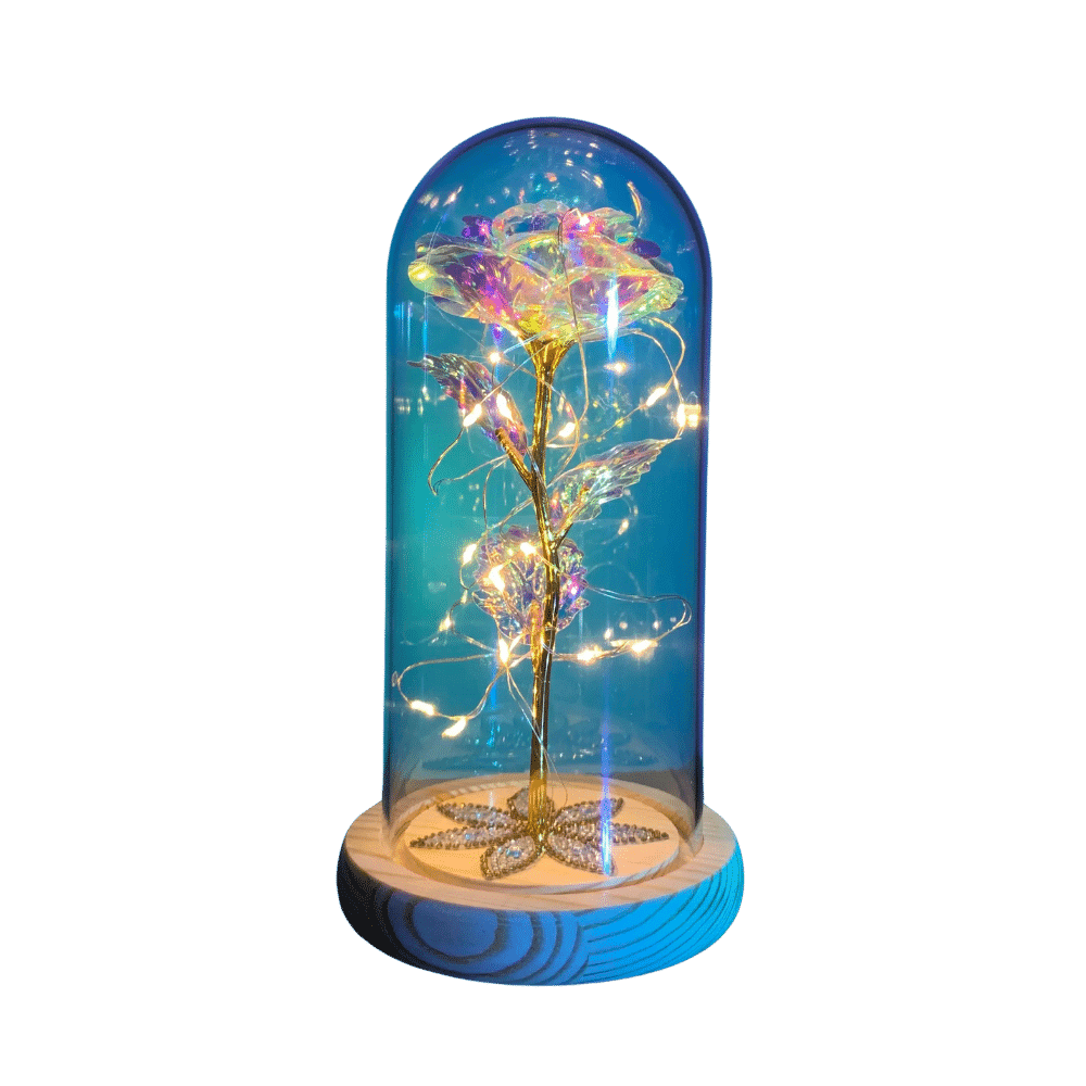 Enchanted Galaxy Rose