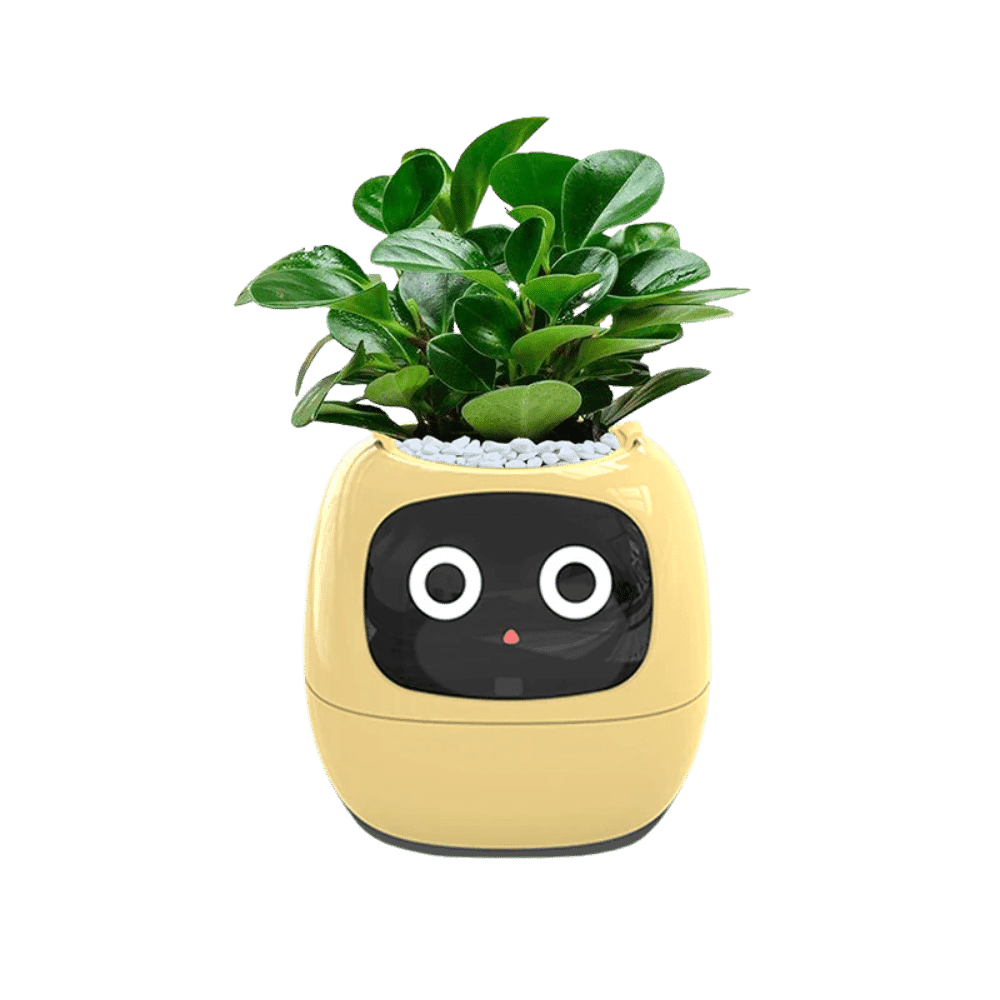 Smart Small Flower Pot