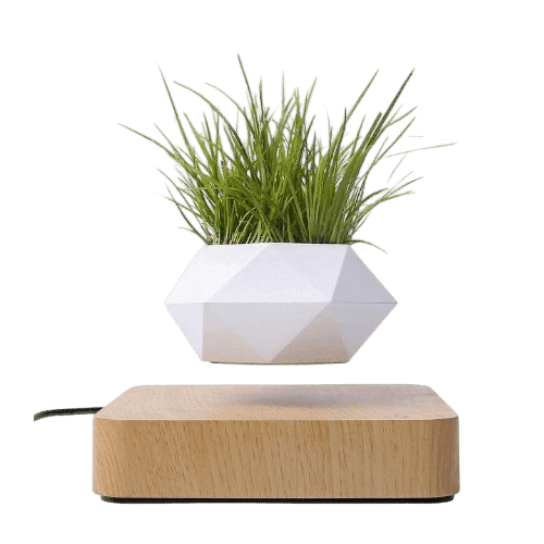 Levitating Flower Pot