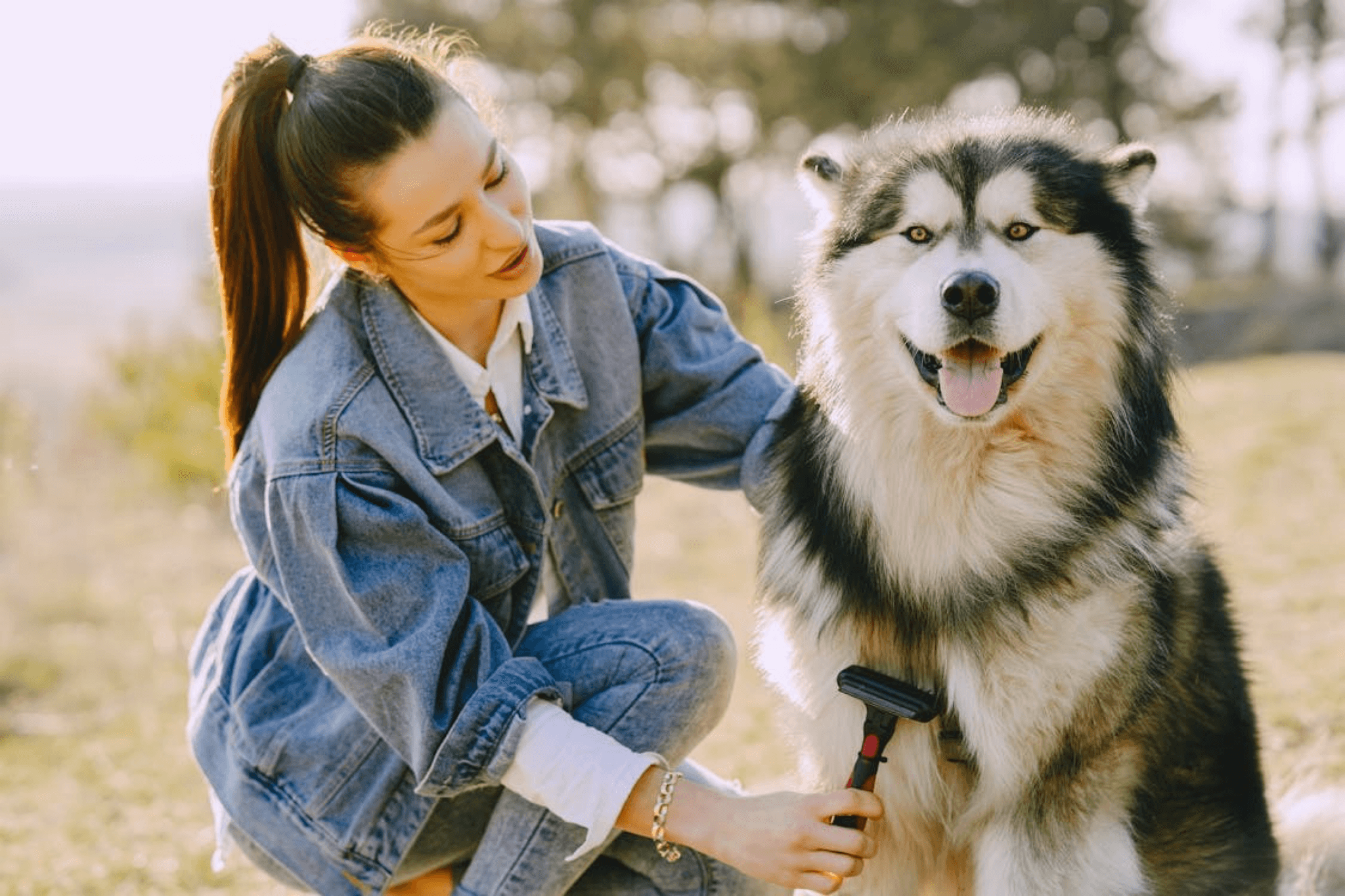 Best Online Business to Start in 2026: Pet Wellness